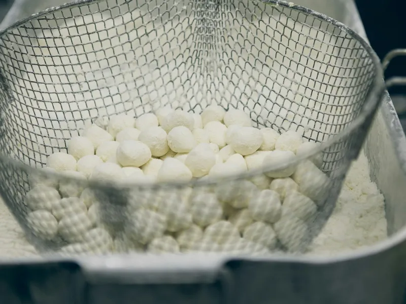 Paestum with Buffalo Mozzarella tasting-3