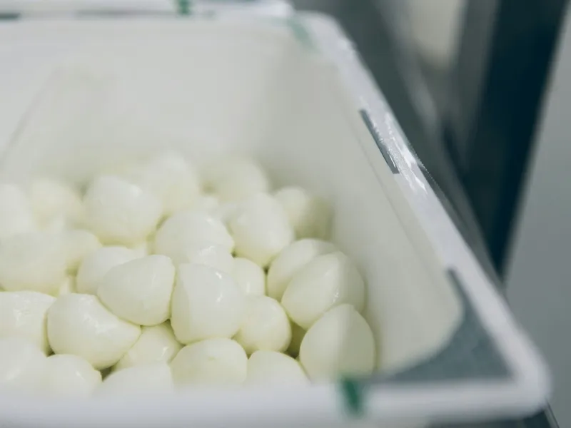 Enogastronomic Tours-6