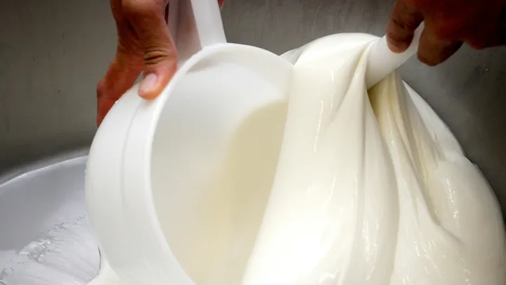 Paestum with Buffalo Mozzarella tasting