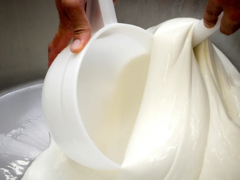 Enogastronomic Tours-5